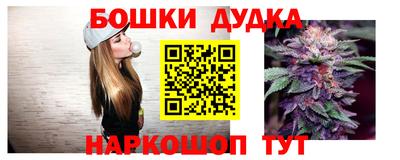 наркотики Кингисепп